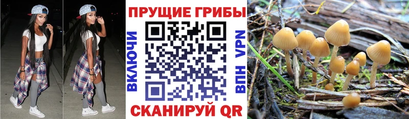 Галлюциногенные грибы мицелий  Благовещенск 